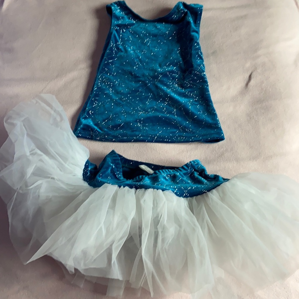 Dance costume - top and tutu for ballet